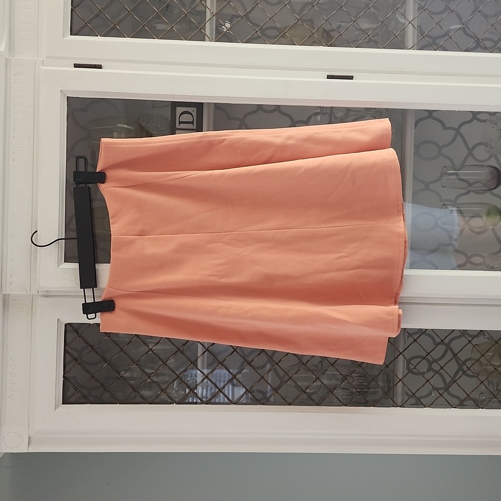 Toy Box Clothing salmon colored skirt